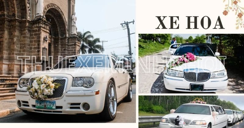 Trang Trí Xe Hoa Cưới Tại HCM Chuyên Nghiệp