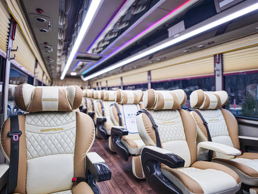 Nội thất xe limousine 19 chỗ
