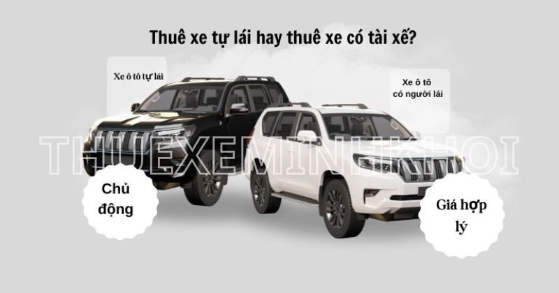 Nên thuê xe 4 chỗ tự lái hay có tài xế?